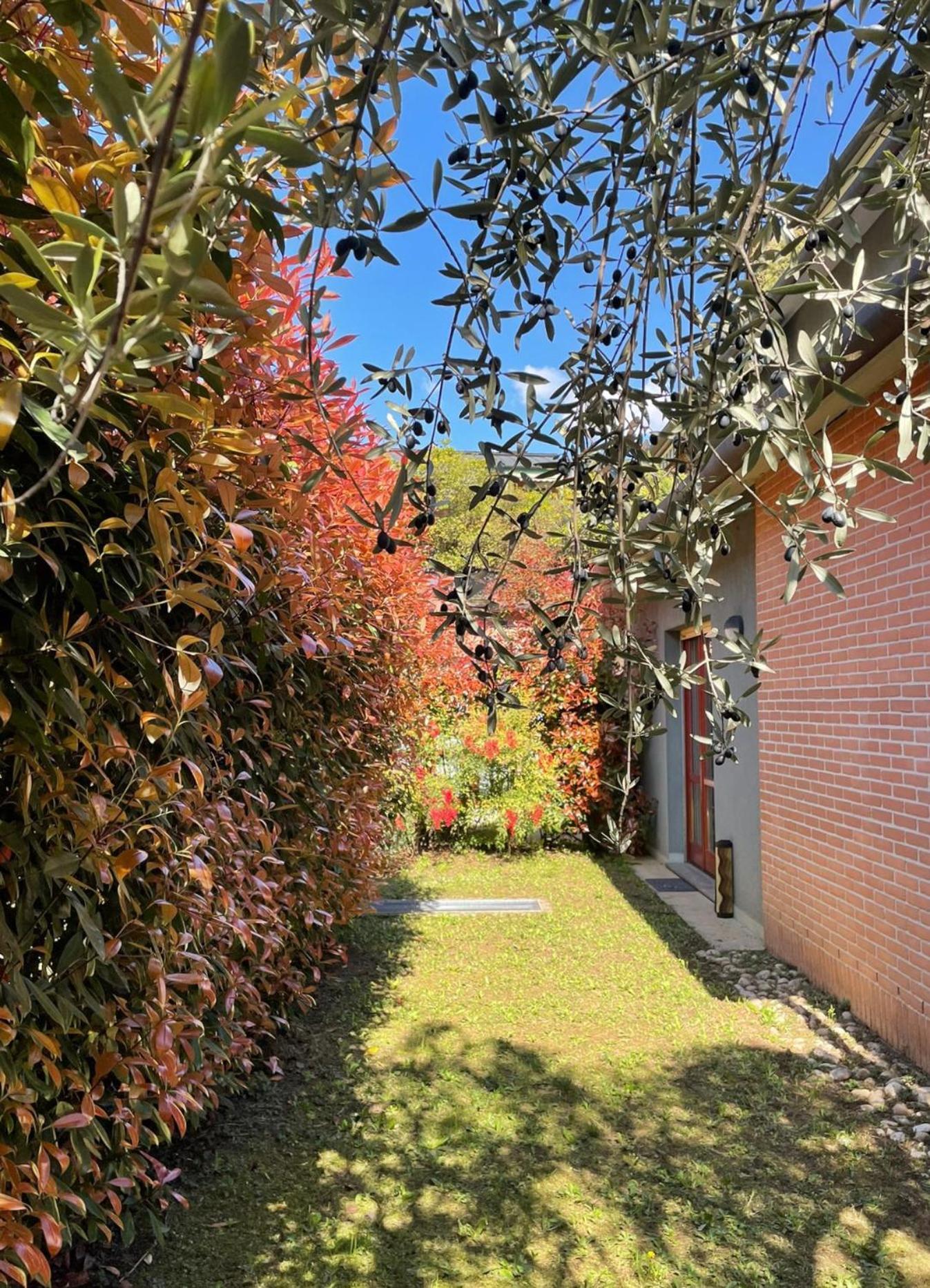 L'Ulivo Di Como Apartman Kültér fotó